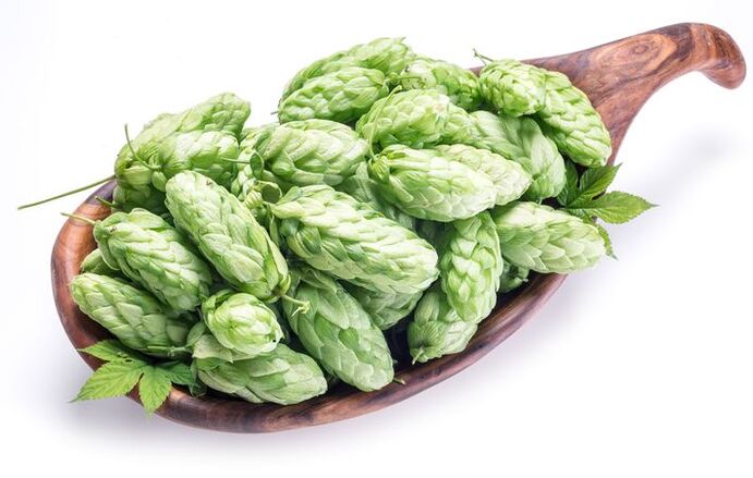 hops with varicose veins during pregnancy